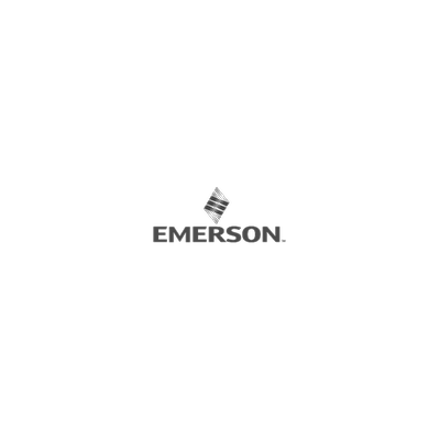 Emerson-Process Gas Analyzer System